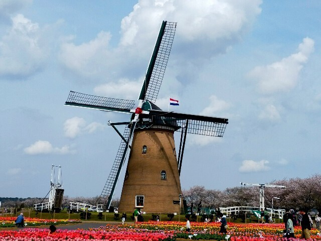 f:id:bluemoonbell:20250421182946j:image