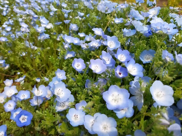 f:id:bluemoonbell:20250421183115j:image