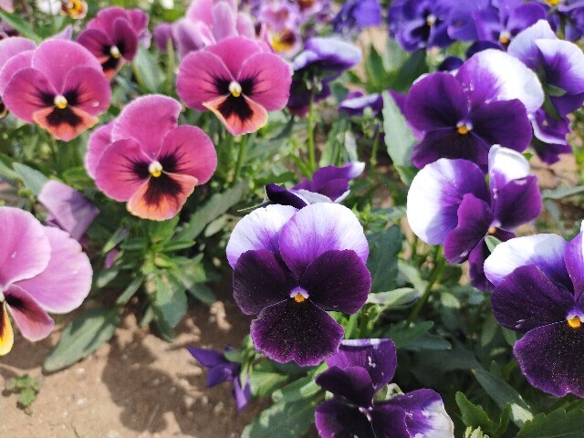 f:id:bluemoonbell:20250421183136j:image