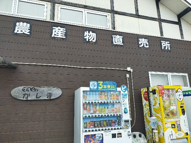f:id:bluemoonbell:20250421183931j:image