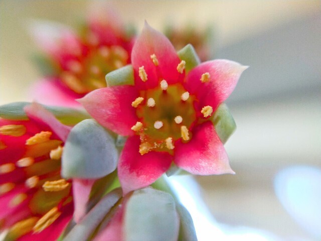 f:id:bluemoonbell:20250430160423j:image