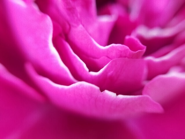 f:id:bluemoonbell:20250514161750j:image