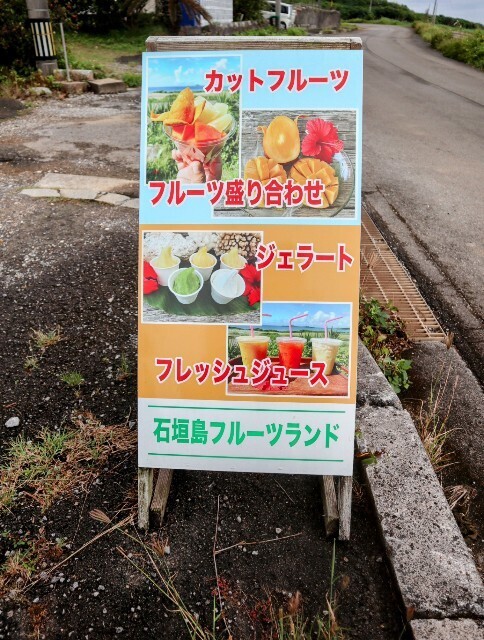 f:id:bluemoonbell:20250613140444j:image