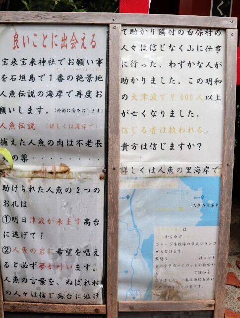 f:id:bluemoonbell:20250614110146j:image