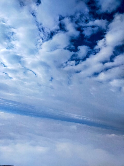 f:id:bluemoonbell:20250624142501j:image