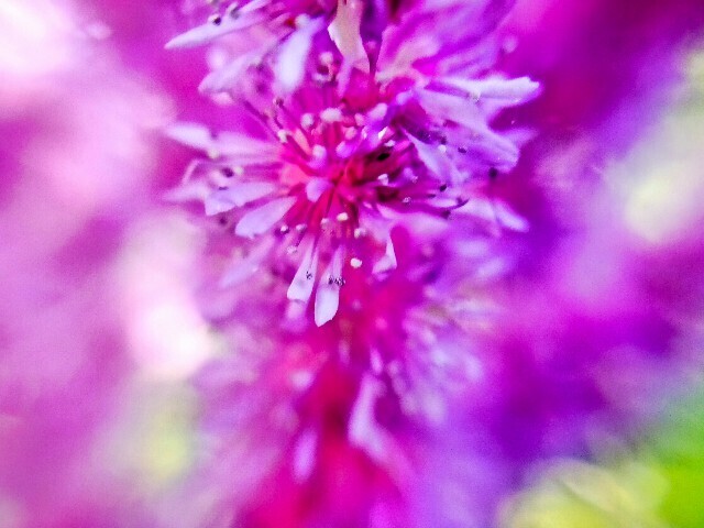 f:id:bluemoonbell:20250625145433j:image