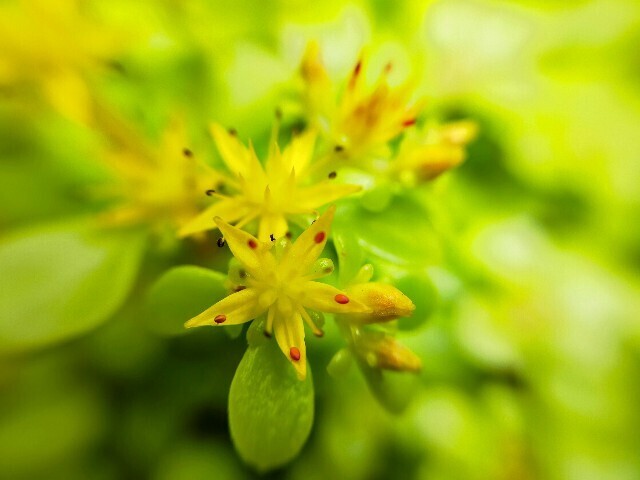 f:id:bluemoonbell:20250626144007j:image