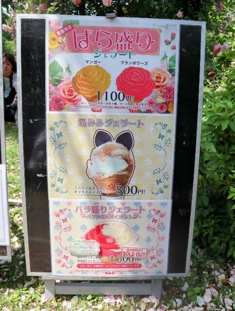 f:id:bluemoonbell:20250707105823j:image