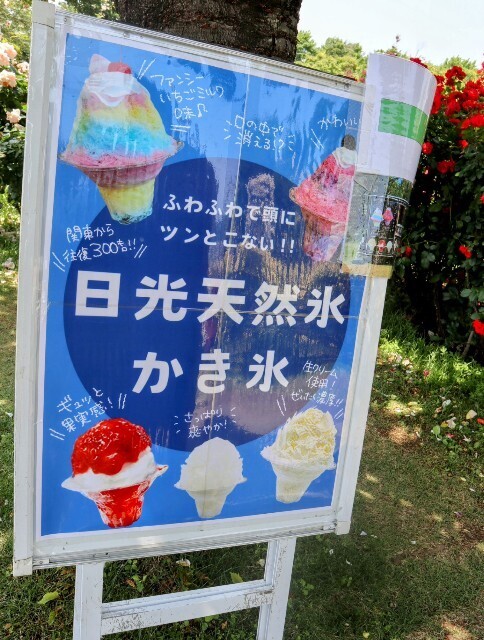 f:id:bluemoonbell:20250707105832j:image