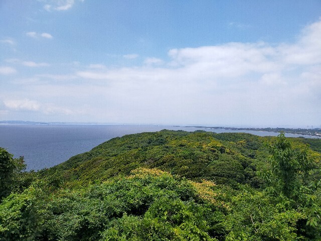 f:id:bluemoonbell:20250809161814j:image