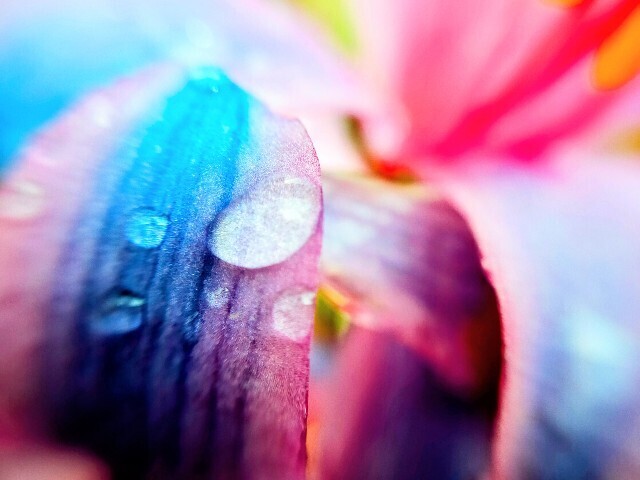 f:id:bluemoonbell:20250921120554j:image