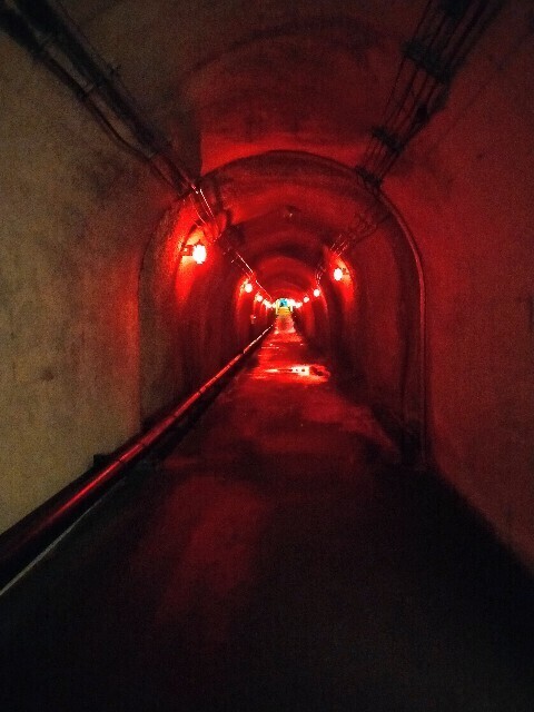 f:id:bluemoonbell:20251113201721j:image f:id:bluemoonbell:20251113201721j:image