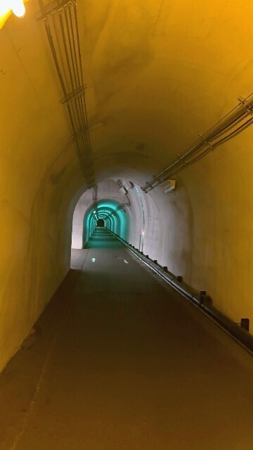 f:id:bluemoonbell:20251115154539j:image f:id:bluemoonbell:20251115154539j:image