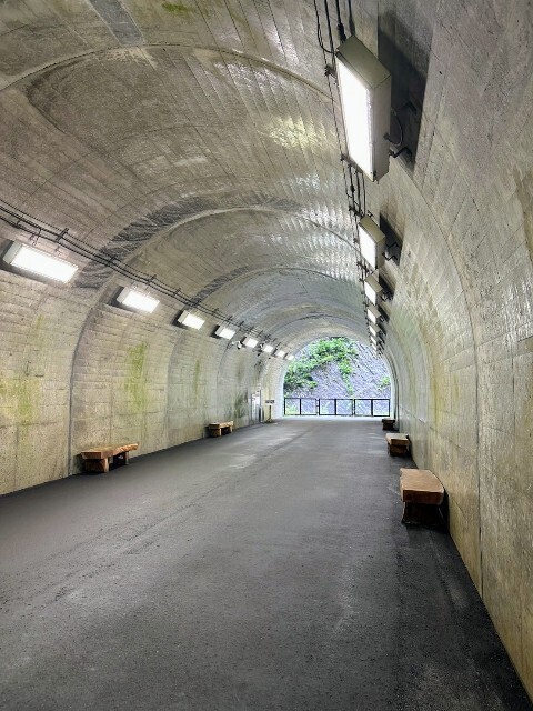 f:id:bluemoonbell:20251115154552j:image f:id:bluemoonbell:20251115154552j:image