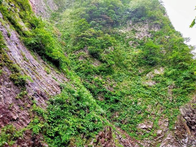 f:id:bluemoonbell:20251115154608j:image f:id:bluemoonbell:20251115154608j:image