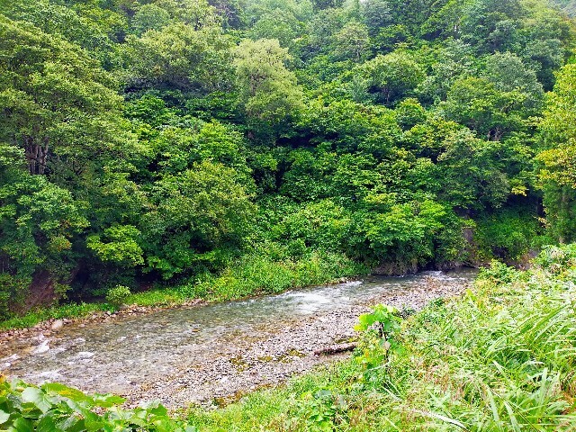 f:id:bluemoonbell:20251115154649j:image f:id:bluemoonbell:20251115154649j:image