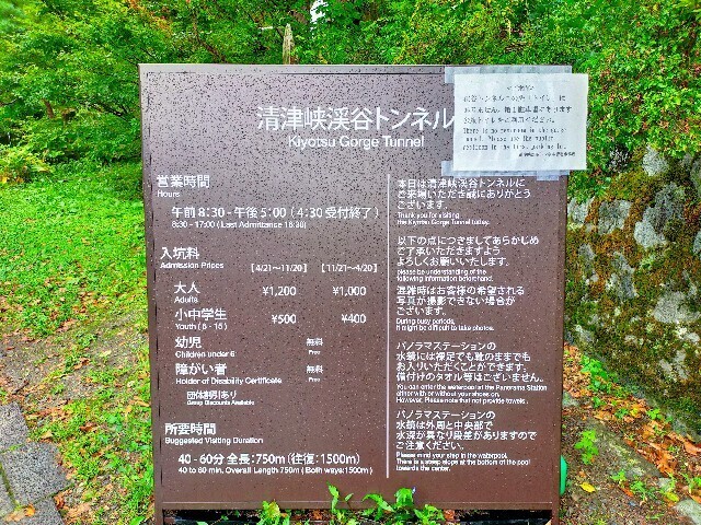 f:id:bluemoonbell:20251115154710j:image f:id:bluemoonbell:20251115154710j:image