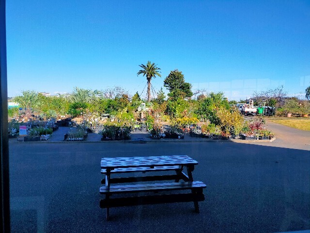 f:id:bluemoonbell:20251124144533j:image