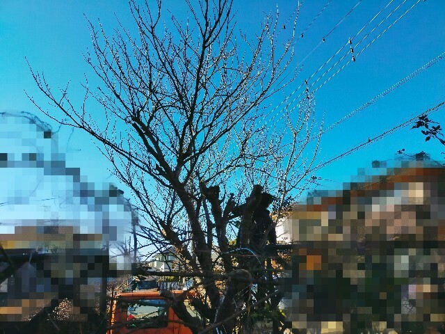 f:id:bluemoonbell:20251229175552j:image