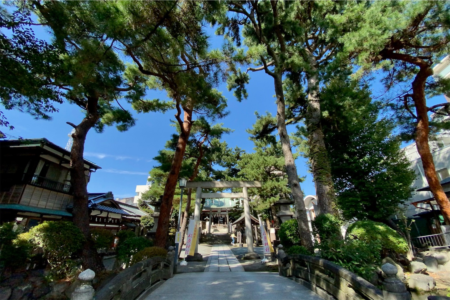 f:id:bluemt11:20201020162611j:image f:id:bluemt11:20201020162611j:image