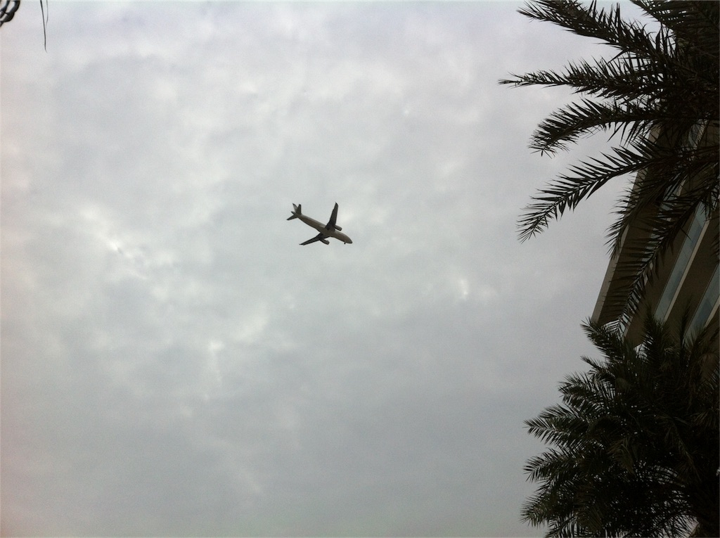 f:id:blueocchi:20161119000715j:image