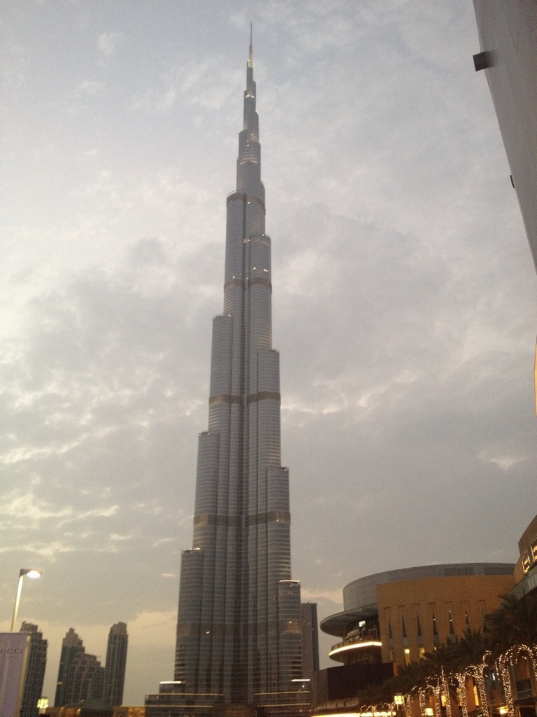 f:id:blueocchi:20161123083814j:image