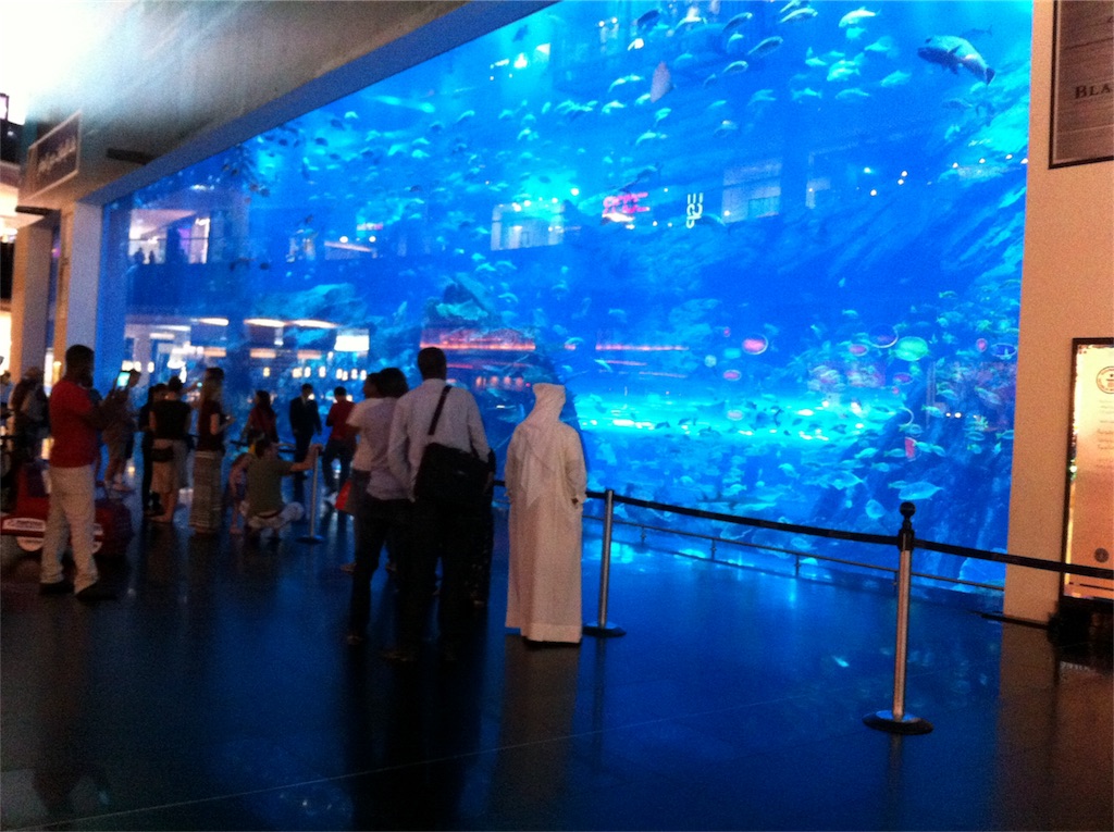 f:id:blueocchi:20170109192816j:image