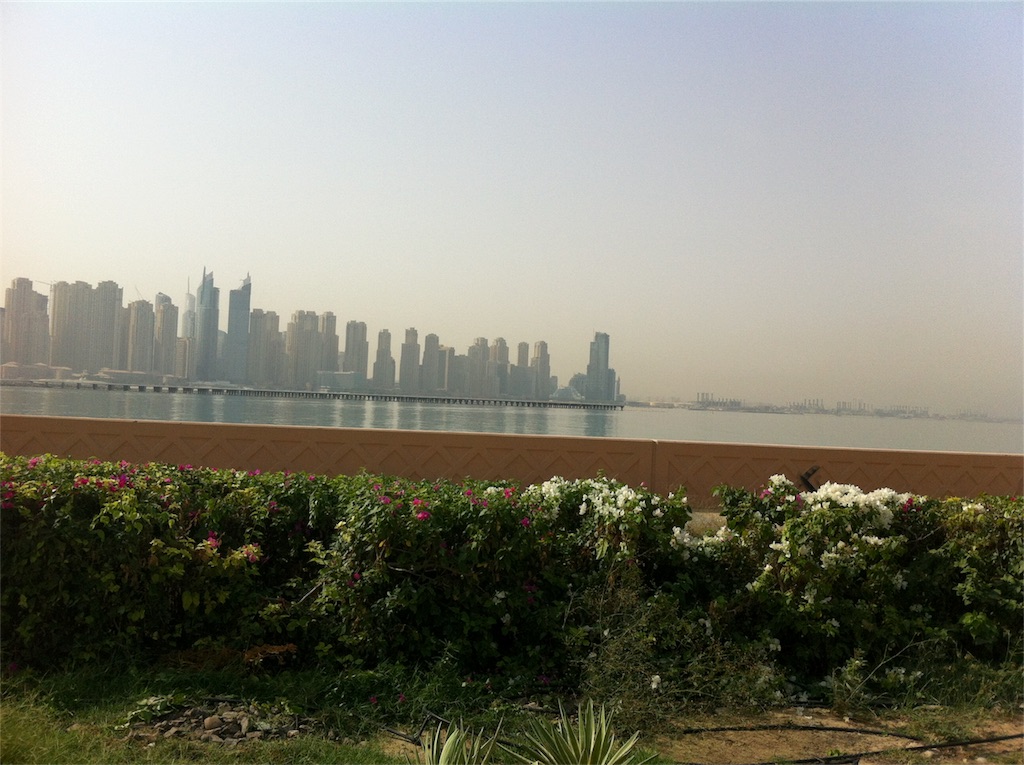 f:id:blueocchi:20170109194055j:image