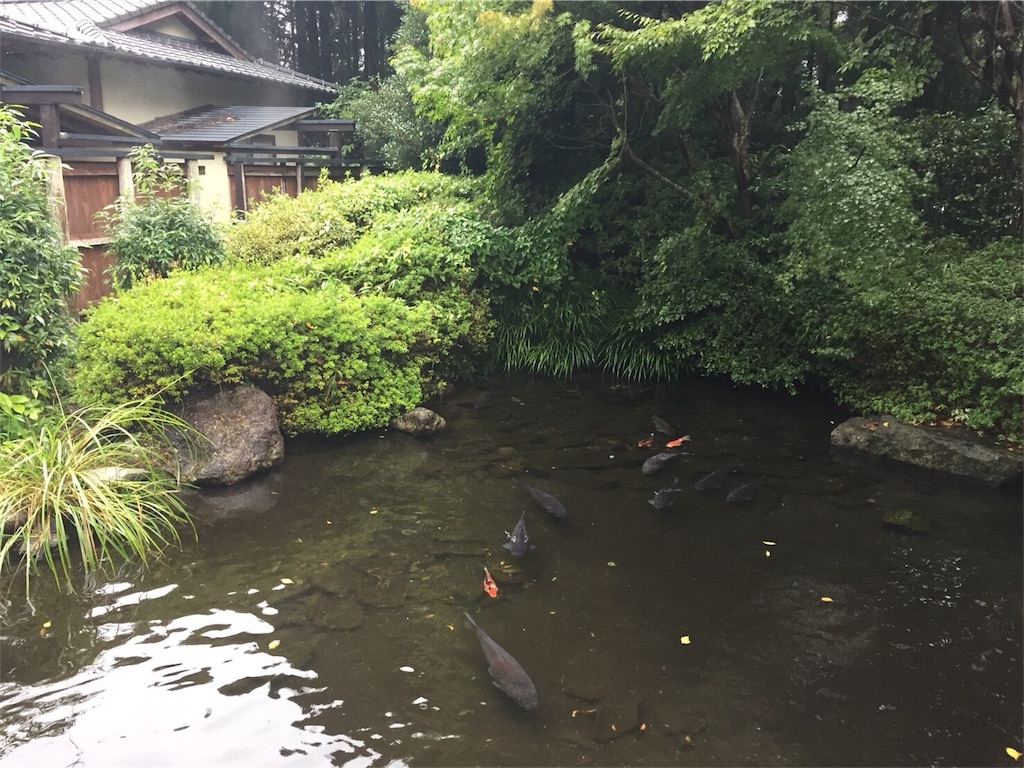 f:id:blueocchi:20171103193854j:image