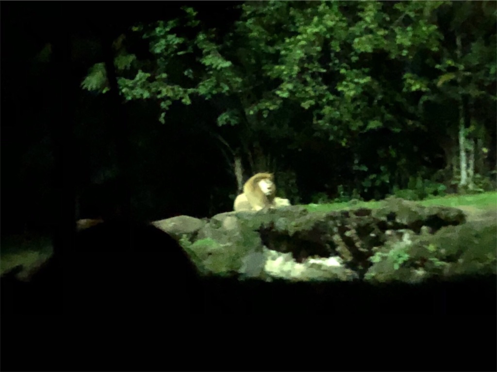 f:id:blueocchi:20180827140042j:image