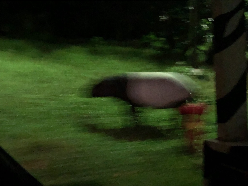 f:id:blueocchi:20180827140046j:image