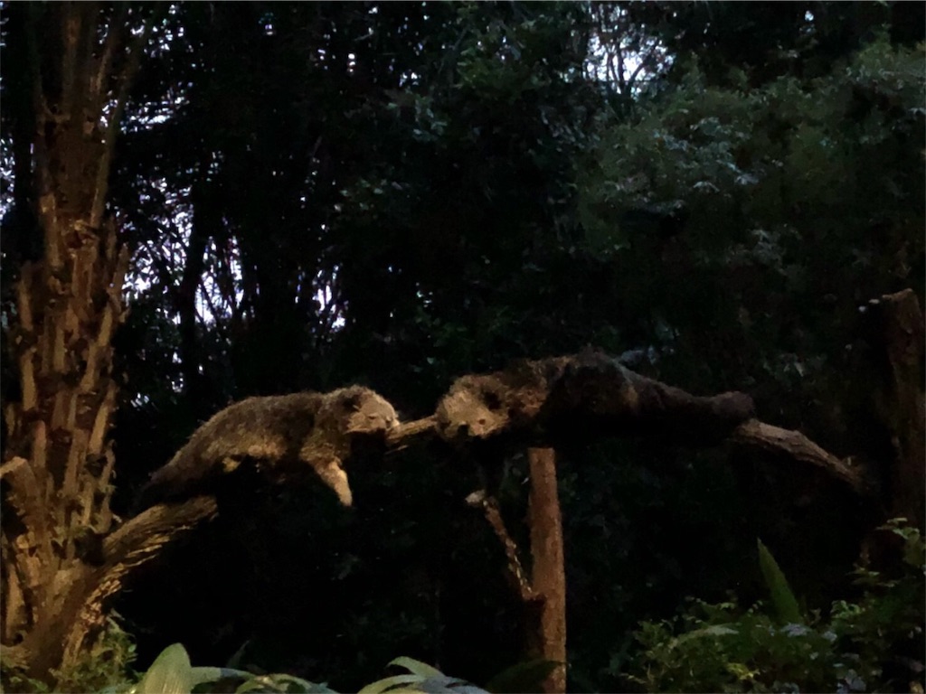 f:id:blueocchi:20180827140049j:image