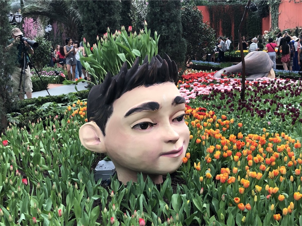 f:id:blueocchi:20180827140855j:image