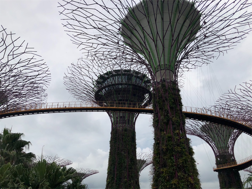 f:id:blueocchi:20180827140908j:image