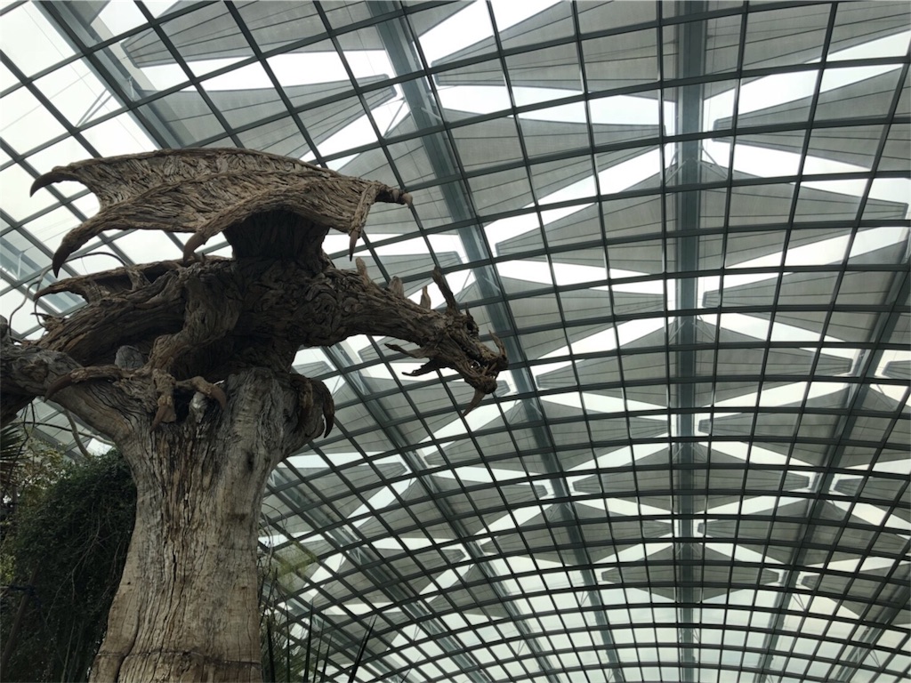 f:id:blueocchi:20180827140919j:image