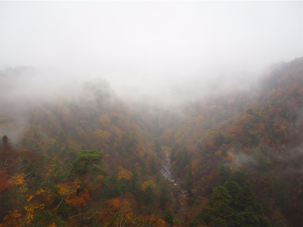 f:id:blueocchi:20190101142020j:image f:id:blueocchi:20190101142020j:image