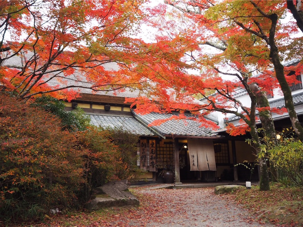 f:id:blueocchi:20190101142035j:image f:id:blueocchi:20190101142035j:image