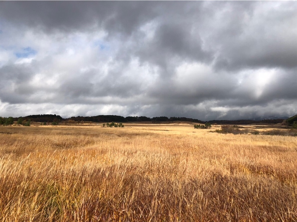 f:id:blueocchi:20190101142106j:image f:id:blueocchi:20190101142106j:image