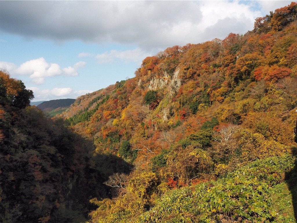 f:id:blueocchi:20190101142117j:image f:id:blueocchi:20190101142117j:image