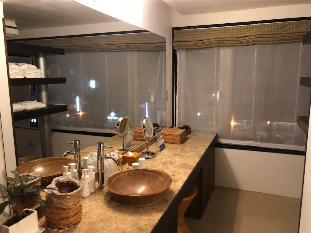 f:id:blueocchi:20190101142133j:image f:id:blueocchi:20190101142133j:image