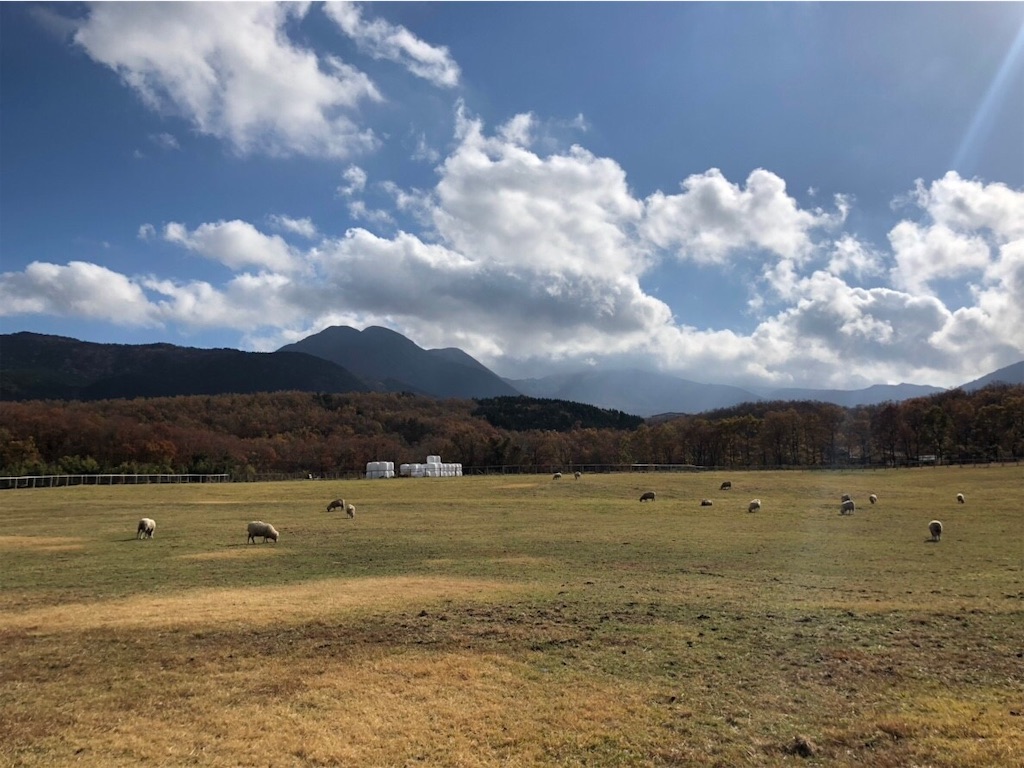 f:id:blueocchi:20190101142150j:image f:id:blueocchi:20190101142150j:image