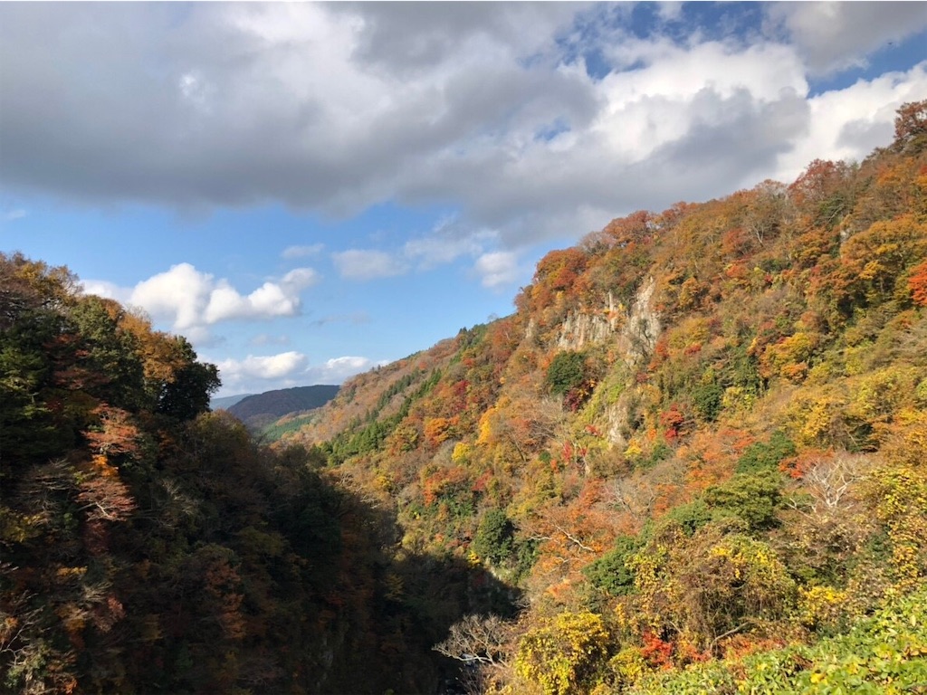 f:id:blueocchi:20190107205500j:image f:id:blueocchi:20190107205500j:image