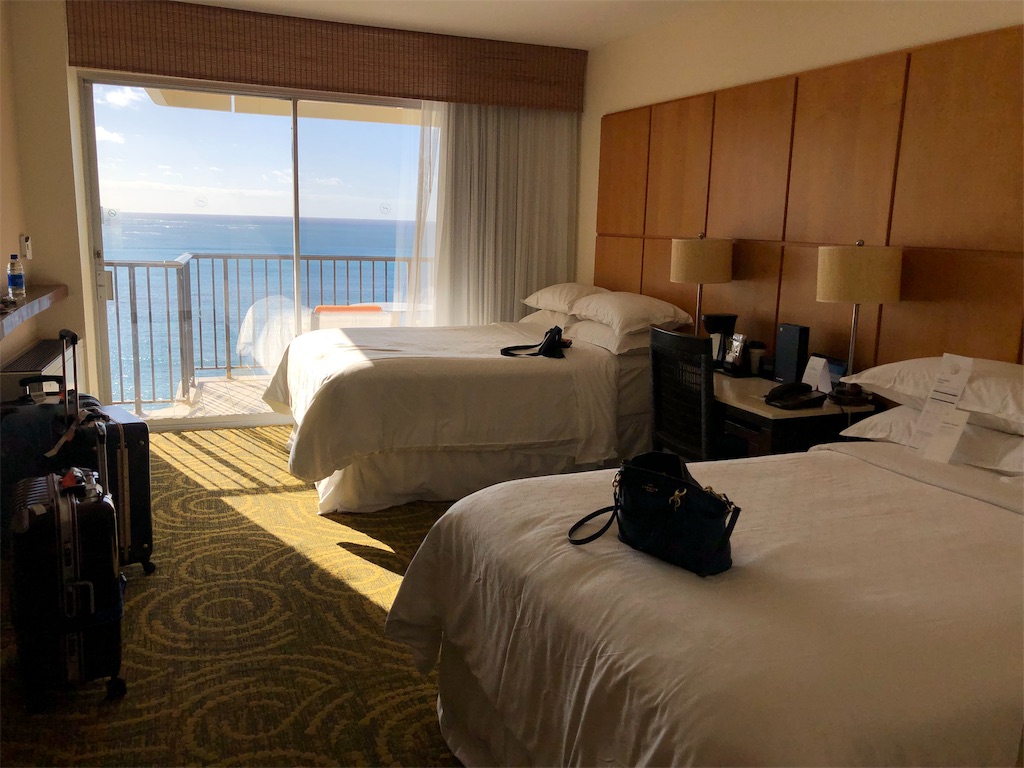 f:id:blueocchi:20190228184608j:image