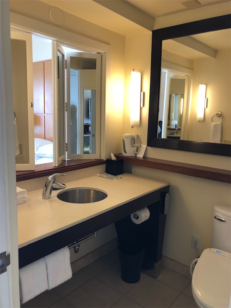 f:id:blueocchi:20190228184621j:image