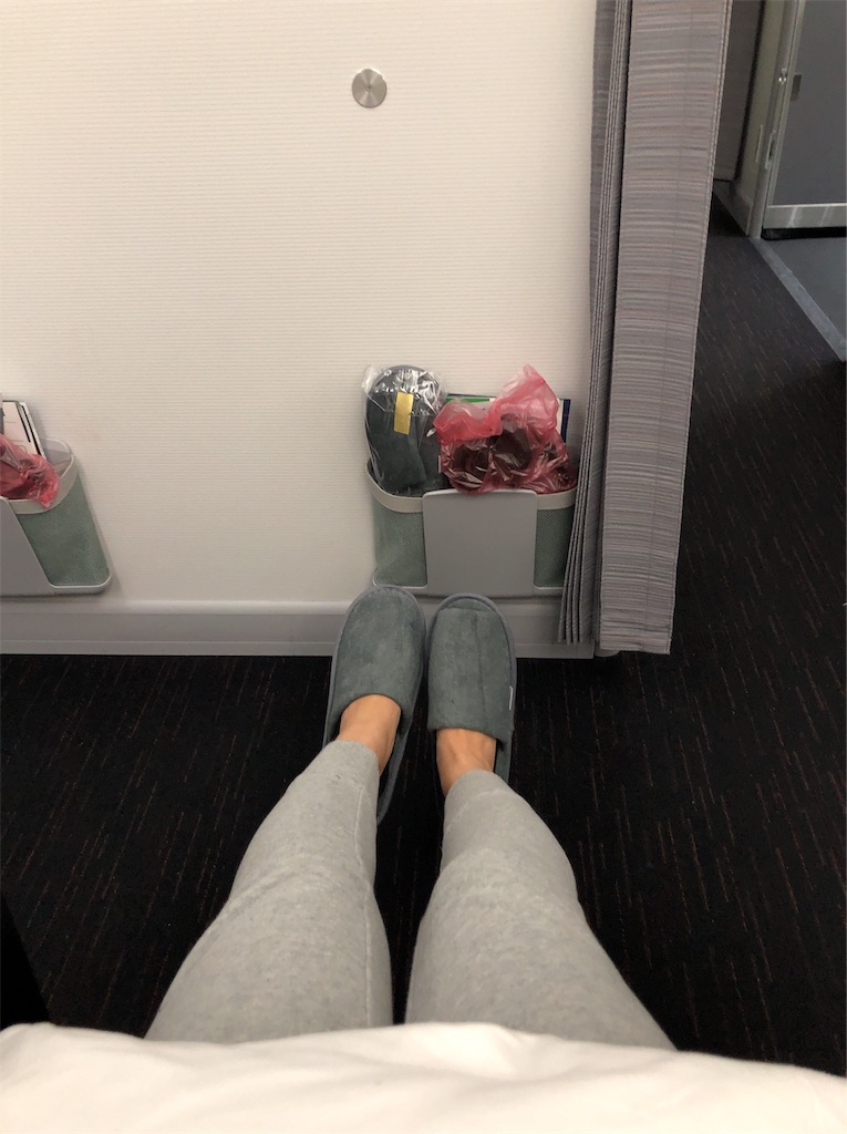 f:id:blueocchi:20190228184924j:image