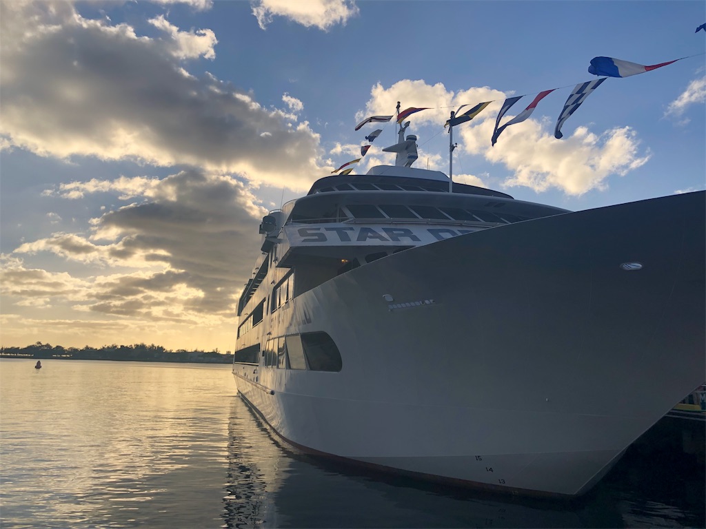 f:id:blueocchi:20190228185839j:image