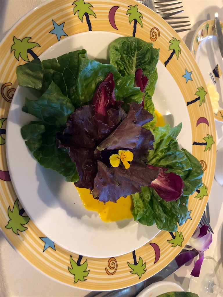 f:id:blueocchi:20190228185844j:image