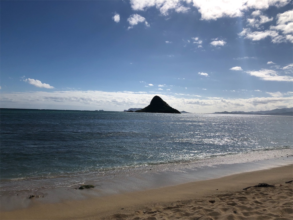 f:id:blueocchi:20190228190641j:image