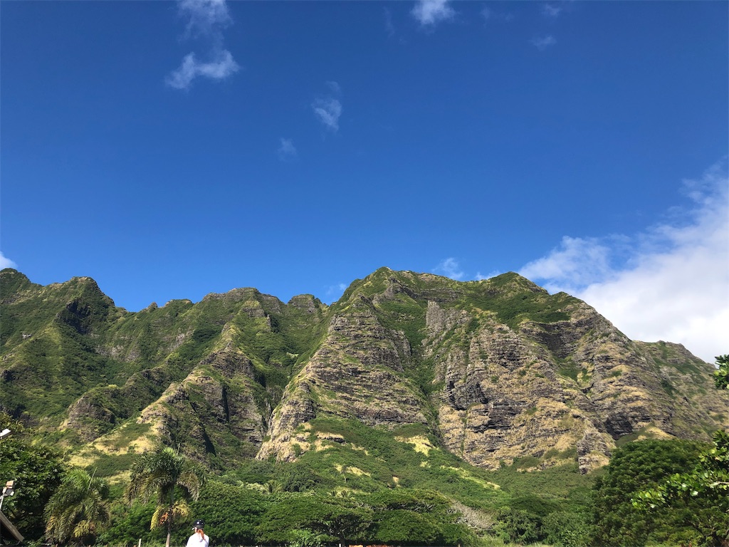 f:id:blueocchi:20190228190648j:image