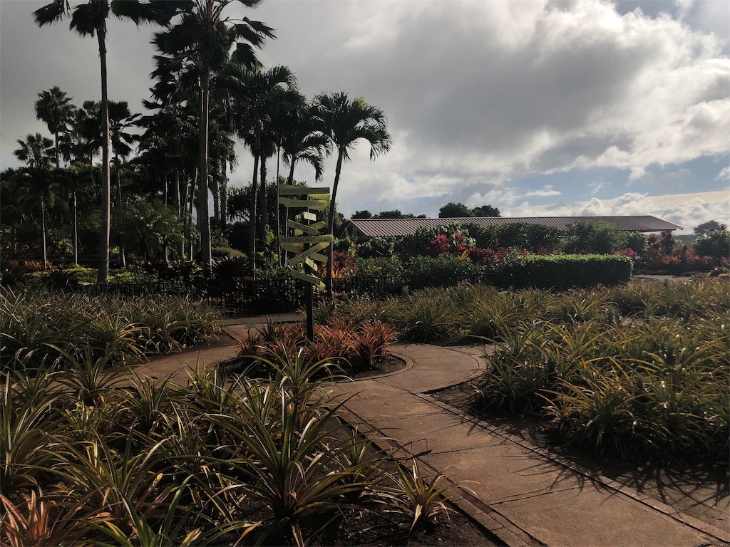 f:id:blueocchi:20190228191015j:image